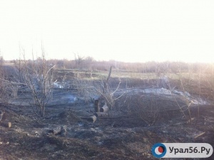 В Орске сгорела лесопосадка на улице Крайней