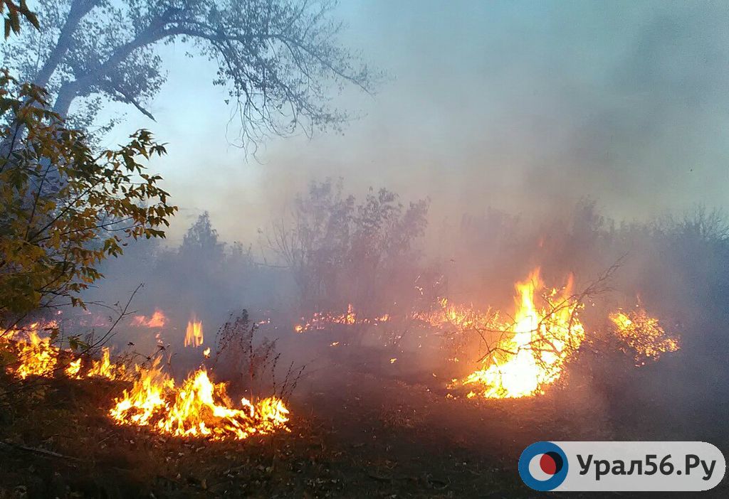 В Орске горят заброшенные участки в районе Попова угла, 18.09.2018