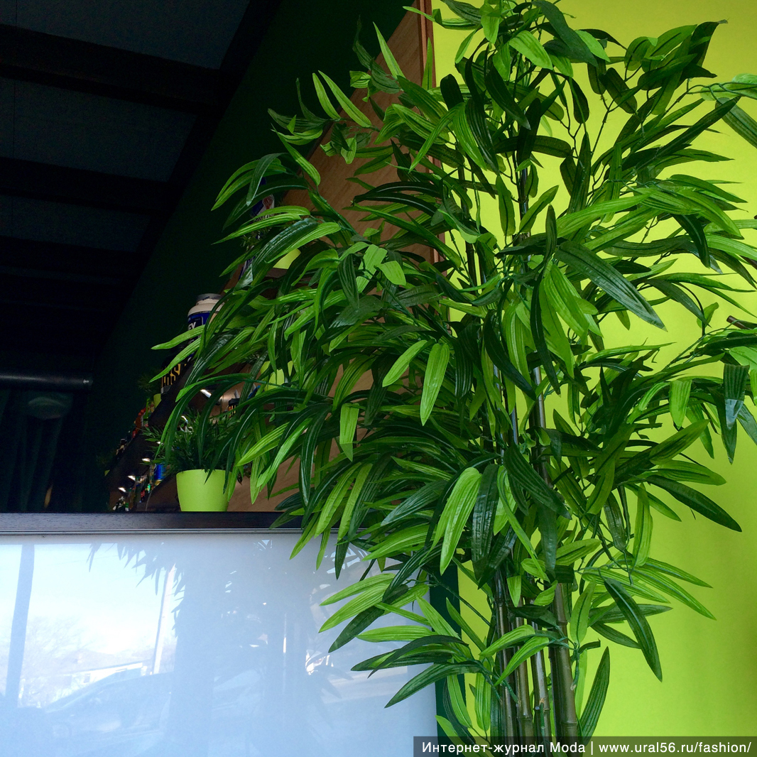 Искусственные растения в кафе Зеленый бамбук