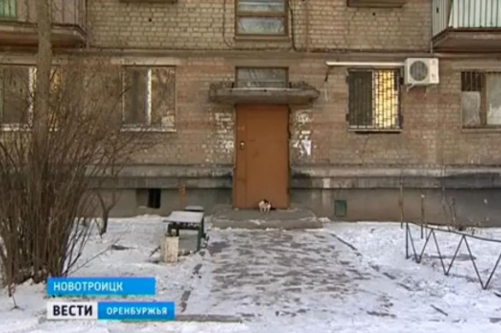В Новотроицке ребёнка выбросили из окна