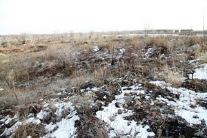 В Оренбурге нашли тела ранее пропавших людей