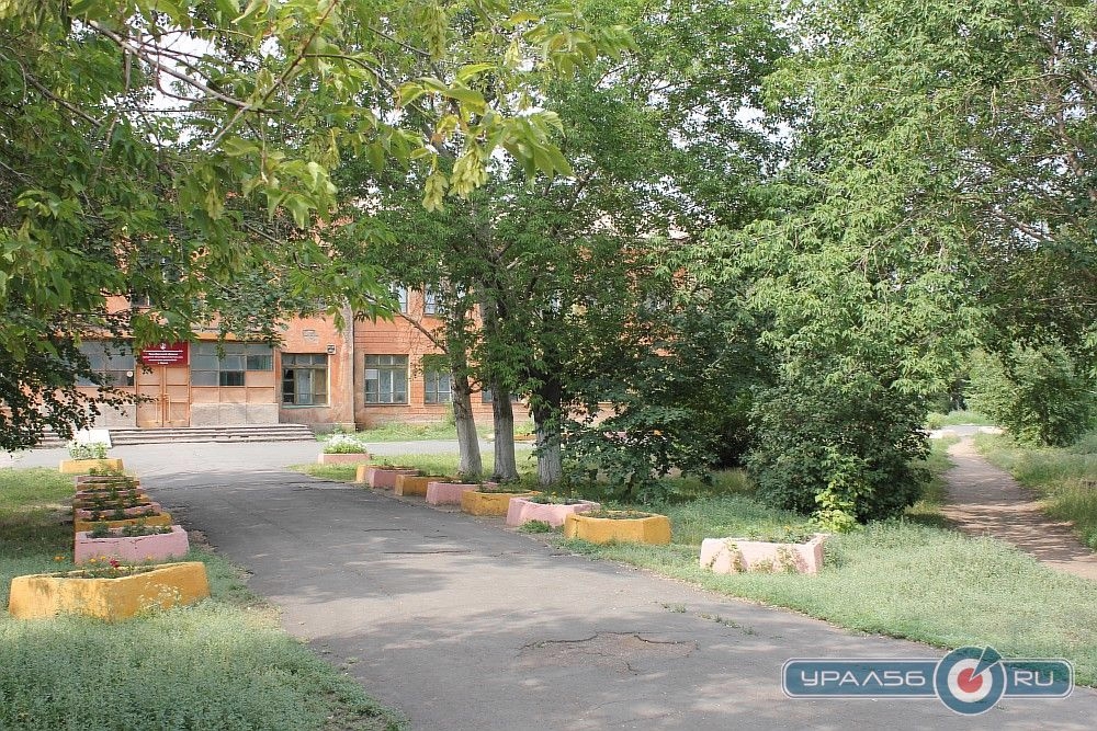 В Орске объявлен карантин