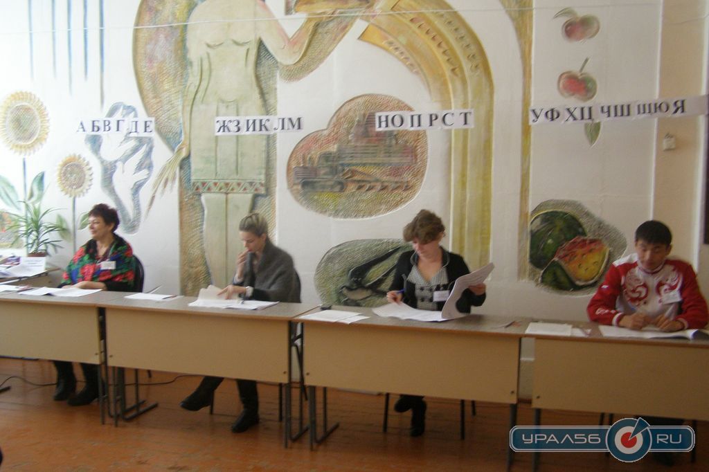 Выборы в Адамовском районе 2013