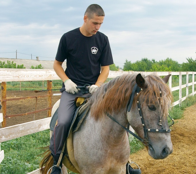 Оренбург конная полиция