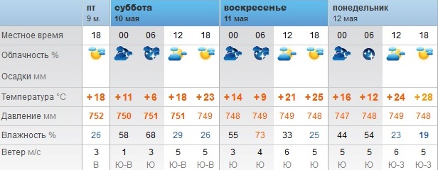 Погода в Орске с 9 по 12 мая. Фото: сайт Rp5.ru