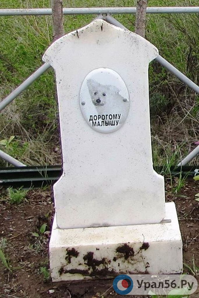 Могила Малыша на кладбище в Энергетике