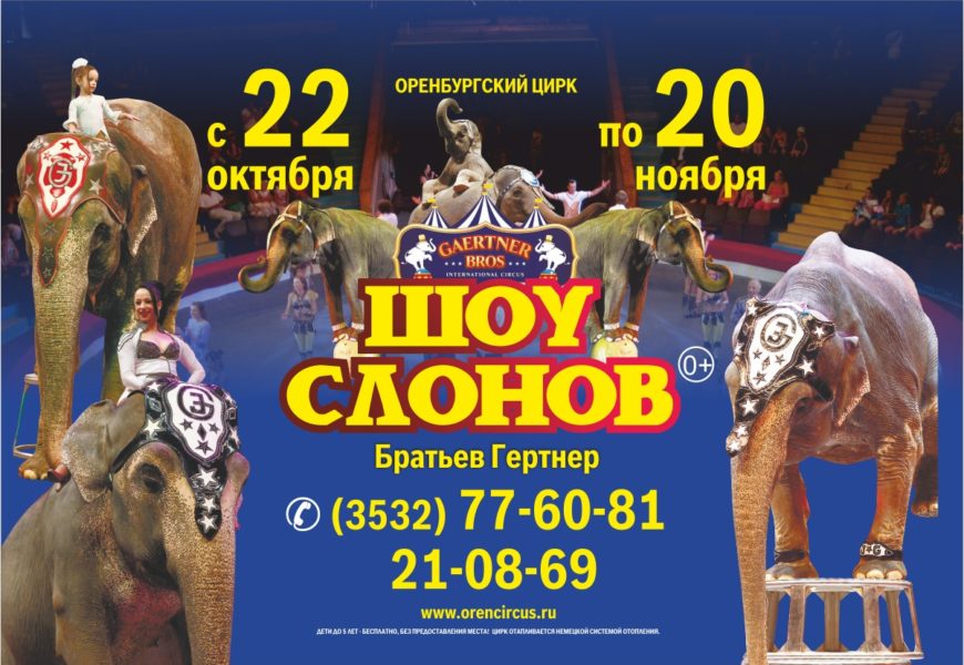 Афиша билетов цирк. Цирк шоу слонов в Оренбурге. Афиша цирка. Программа цирка. Цирковая афиша.