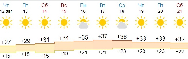 Погода по часам в оренбурге на неделю. Жара в Оренбургской области. Оренбург температура летом. Жара в феврале в Оренбуржье. Стоит летняя жара.