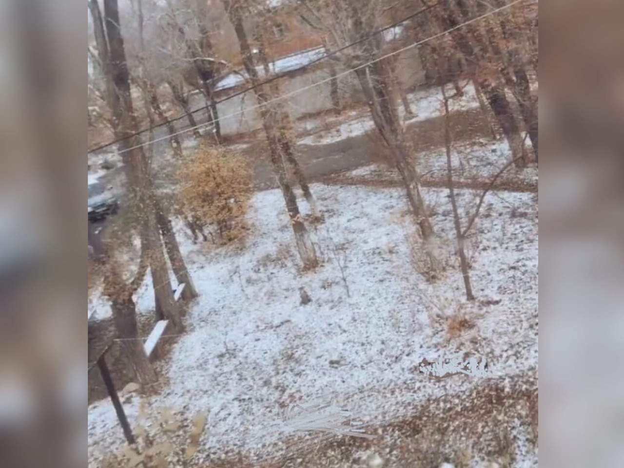 В области выпал снег. В Оренбурге выпал снег. Снег в Оренбургской области. Недавно выпавший снег. Когда выпадет снег в Оренбурге.