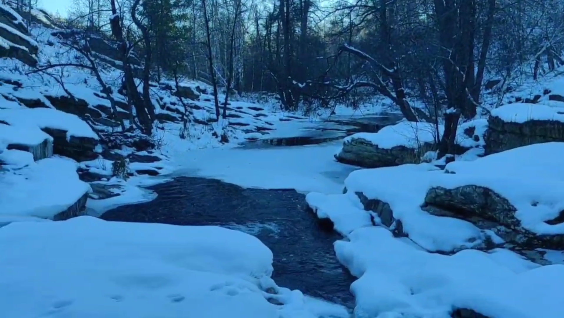 Житель Кувандыка показал, как выглядит Карагайский бор в преддверии зимы