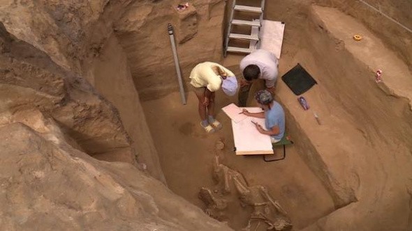 В Оренбургской области обнаружили останки человека, которым больше 6 тыс лет