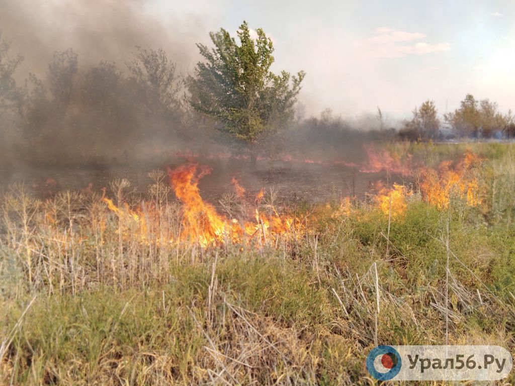 Пожар в Оренбургской области. Фото из архива