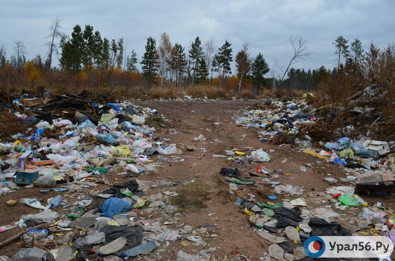 Свалка в Оренбургской области. Фото из архива