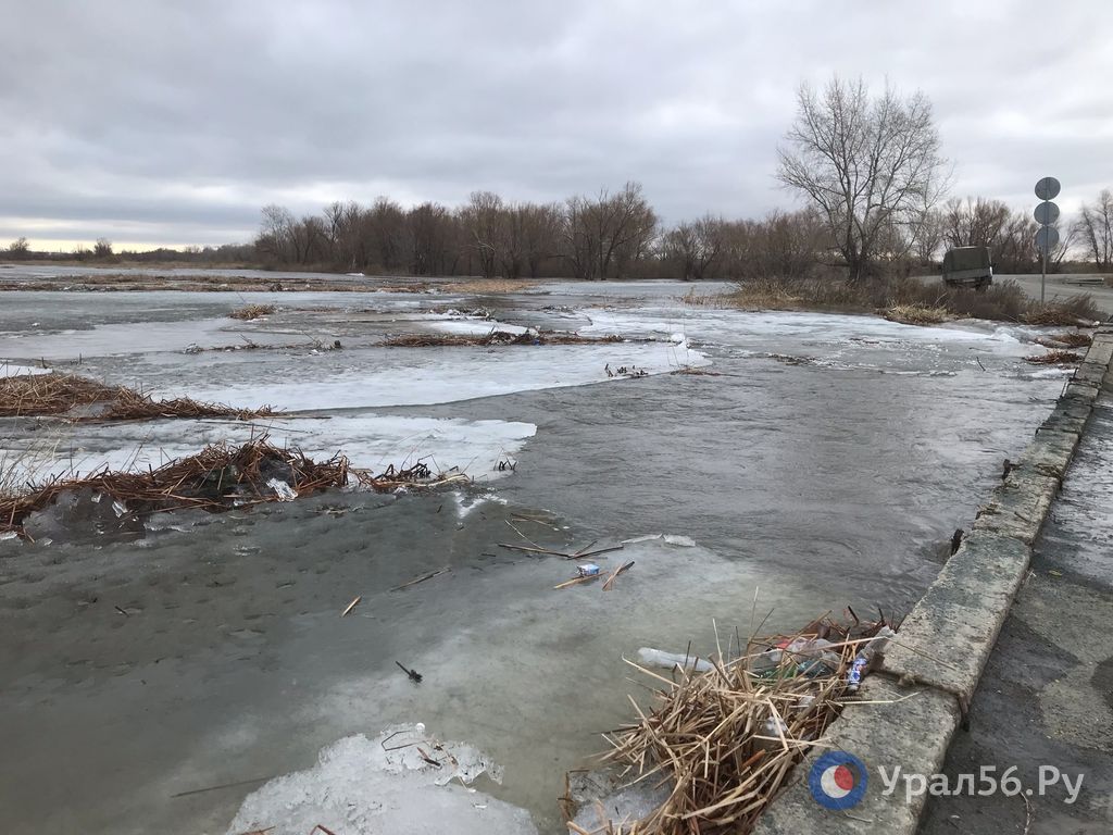 Какой уровень воды в урале город оренбург