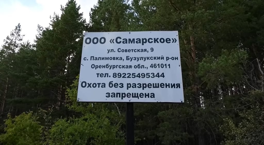 ООО «Самарское». Фото: Бузулук-информ