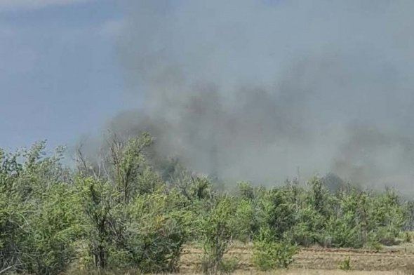 В Сорочинске пожар и сильный ветер: горят лесопосадка и сухая трава