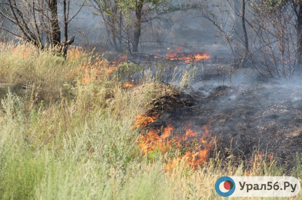 С начала 2022 года в Оренбургской области произошло более 120 степных пожаров
