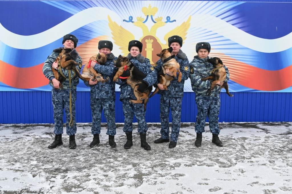 Новые пушистые сотрудники регионального УФСИН, фото: пресс-служба УФСИН России по Оренбургской области