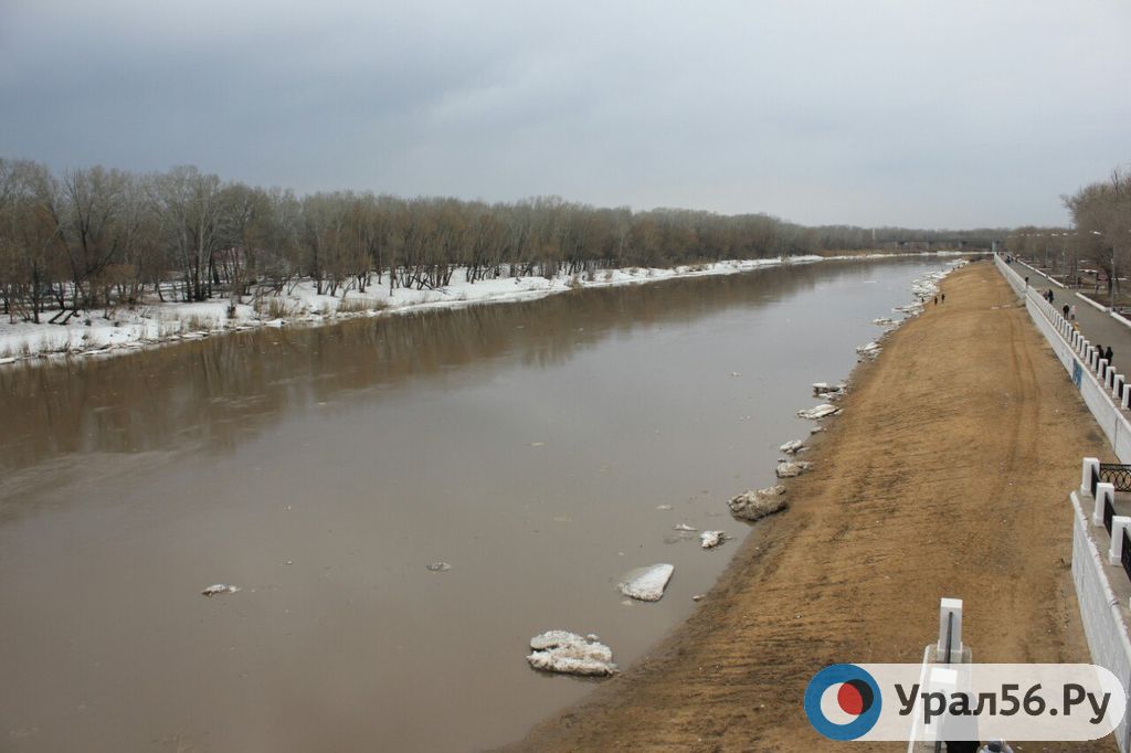 Какой уровень урала в городе оренбурге