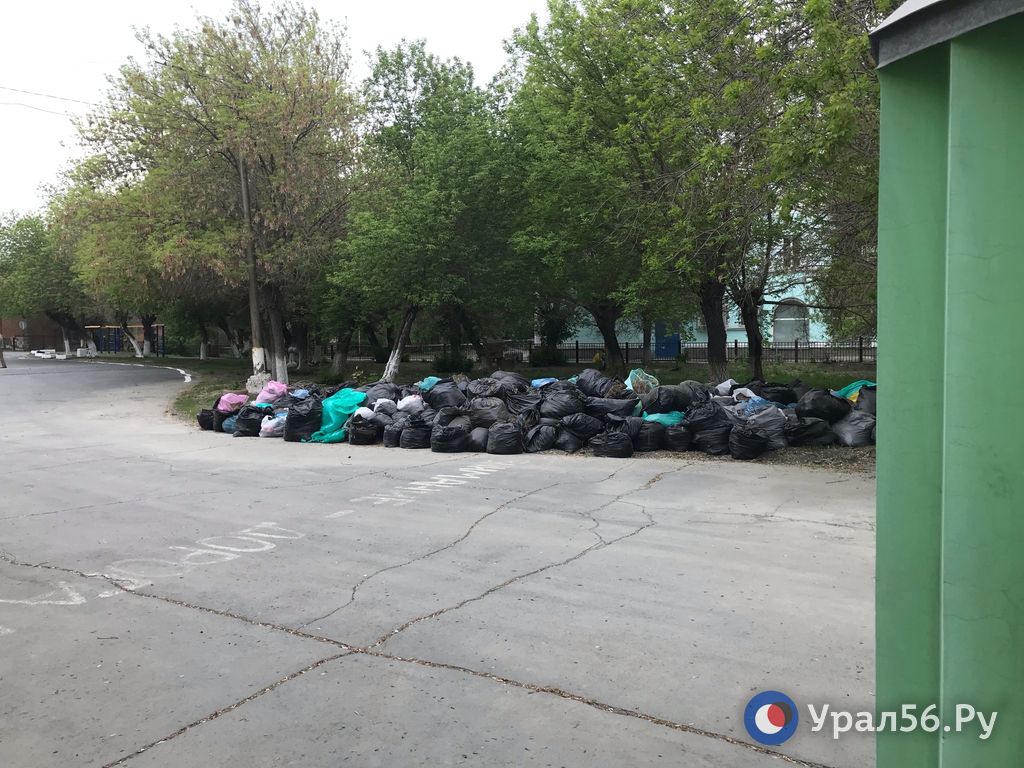 Мешки с мусором у входа в школу №2 в Орске