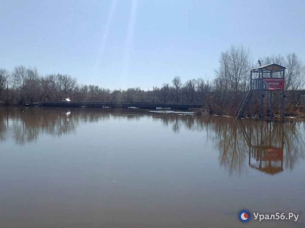  Урал в районе Детского пляжа в Орске