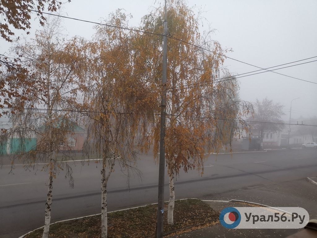 Туман в Оренбурге утром 26.10.2019г.