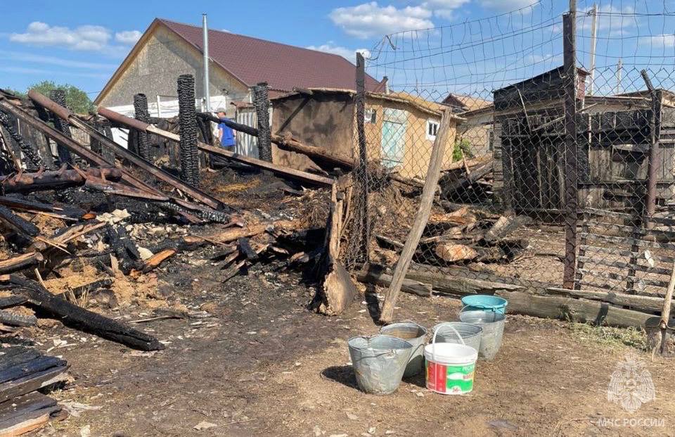 В Соль-Илецком м.о. на пожаре сгорел скот, фото МЧС России по Оренбургской области