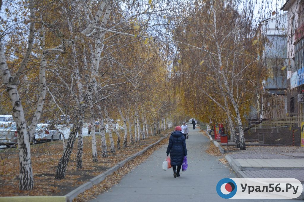 Ждать ли жителям Оренбургской области в эти выходные снег?