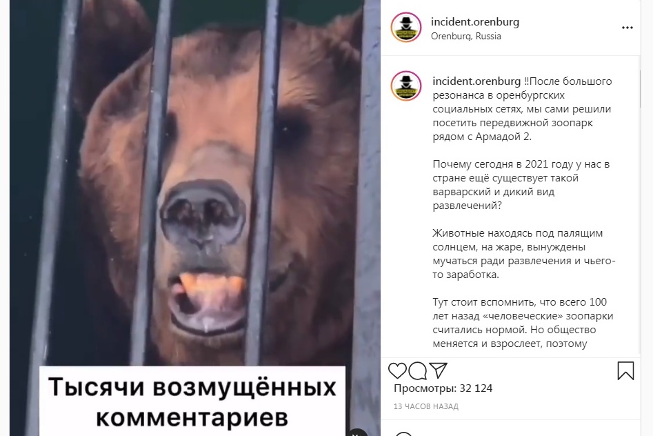 Жители Оренбурга требуют запретить работу передвижного зоопарка в городе