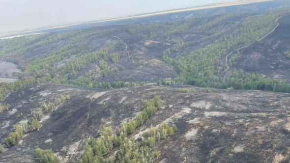 В четырех муниципалитетах отменили режим ЧС, введенный из-за крупного природного пожара на востоке Оренбургской области