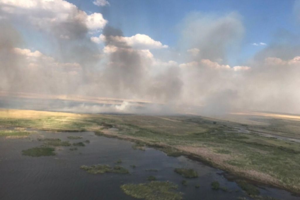 Пожар на востоке Оренбургской области, фото: МЧС