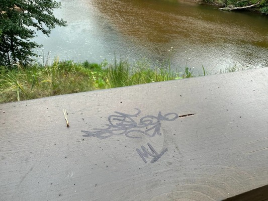 Надпись. Источник фото: ТГ-канал «Бузулукский бор»