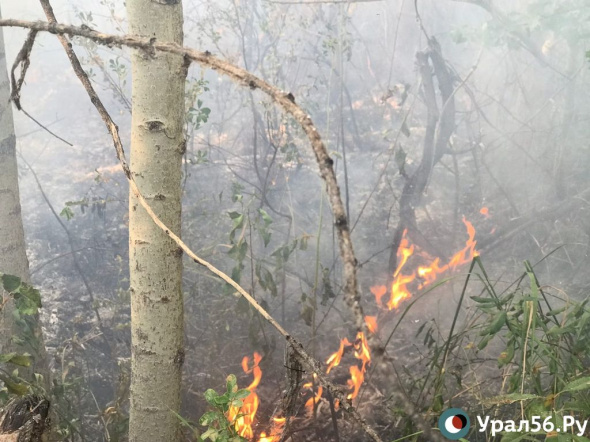 Из-за крупных пожаров в пяти районах Оренбургской области введен режим ЧС: обстановка в самых крупных очагах