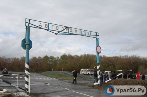 ДОСААФ в Орске продолжает работать. Что в него входит и какую организацию закрыли в январе?