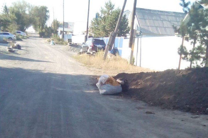 Мусор в частном секторе в Орске, фото от очевидцев