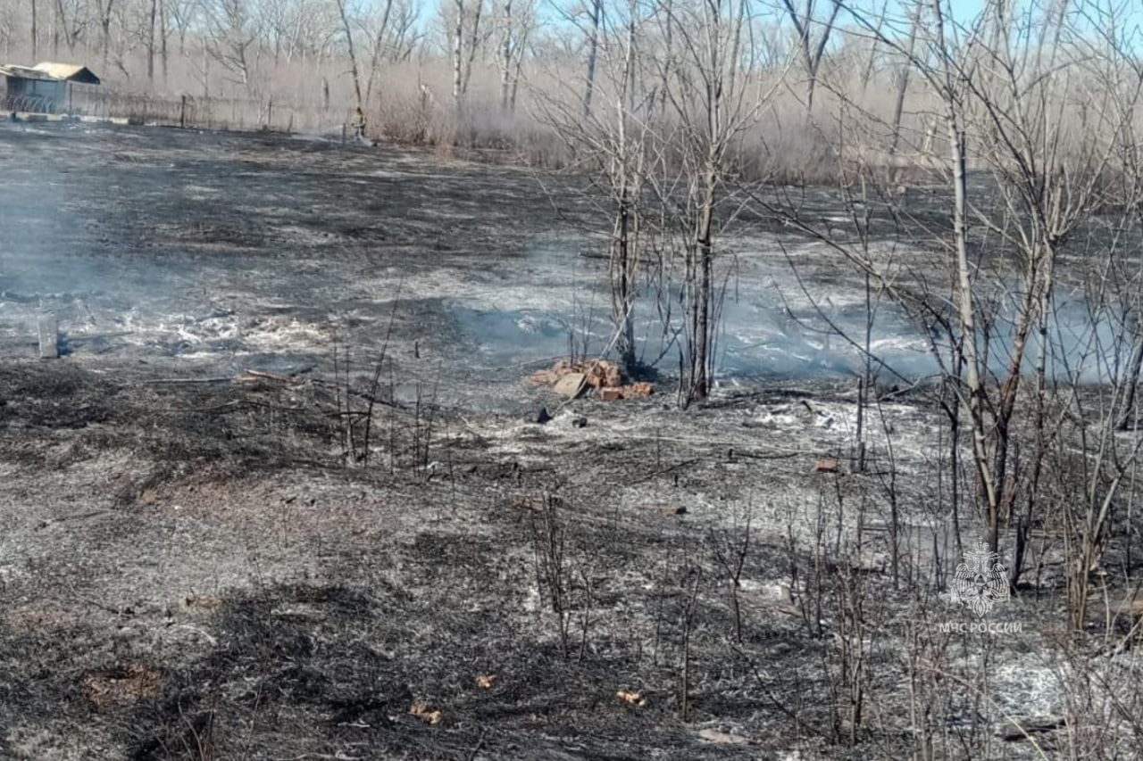 Пожар в Южном Урале. Фото: МЧС по Оренбургской области