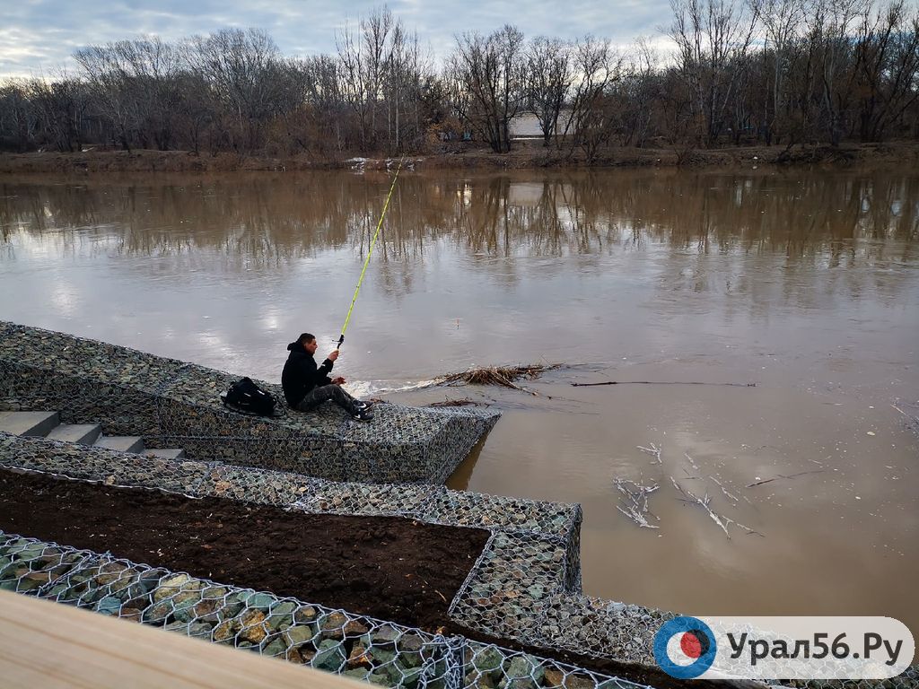 Запрет на рыбную ловлю когда