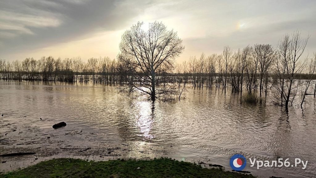 Река во время паводка в Оренбургской области, фото из архива