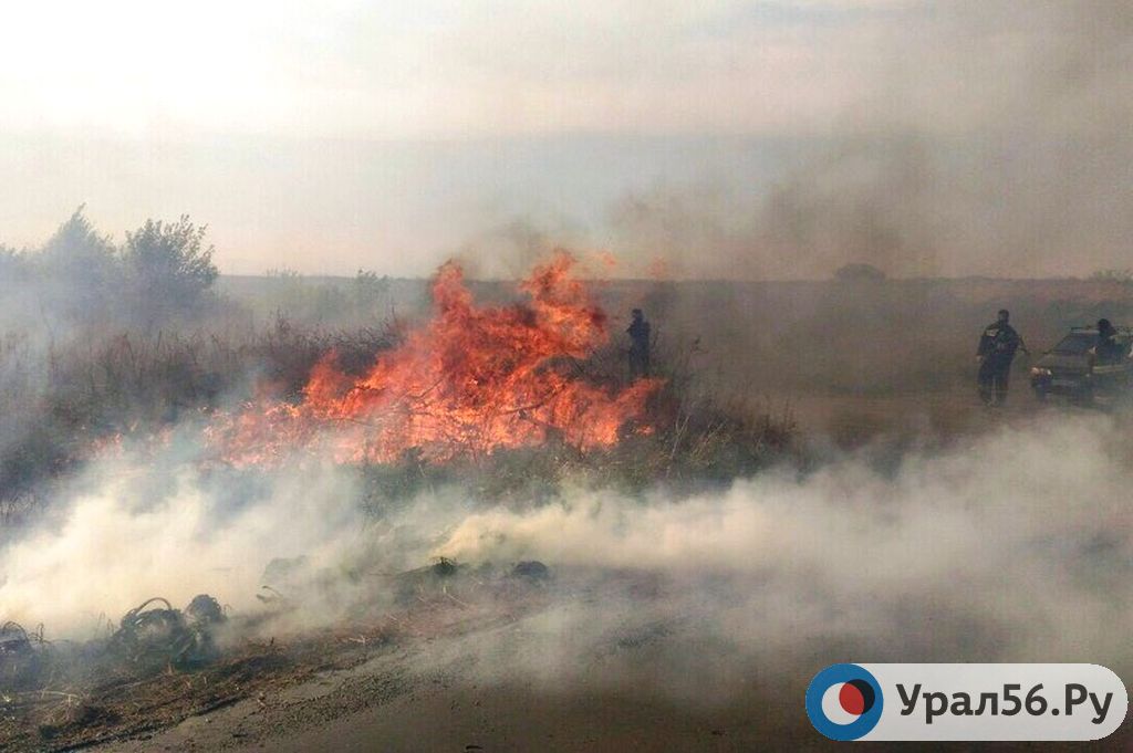 Большой пожар в Орске: горят сады от очистных сооружений до Попова угла