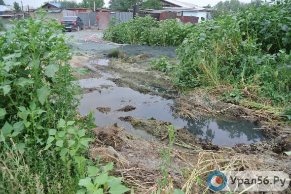 В Кувандыке в озеро Безыменное местная компания сливала неочищенные сточные воды. Заведены дела об административных правонарушениях 