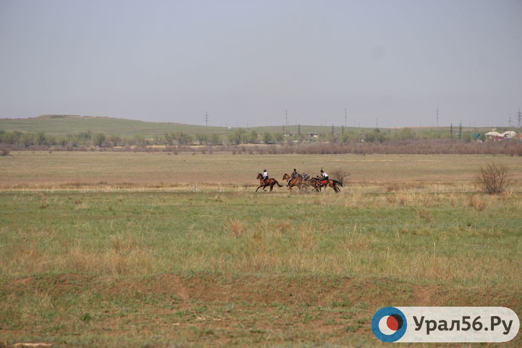 Скачки в районе старого аэропорта в пос. Гудрон, 11.05.2019