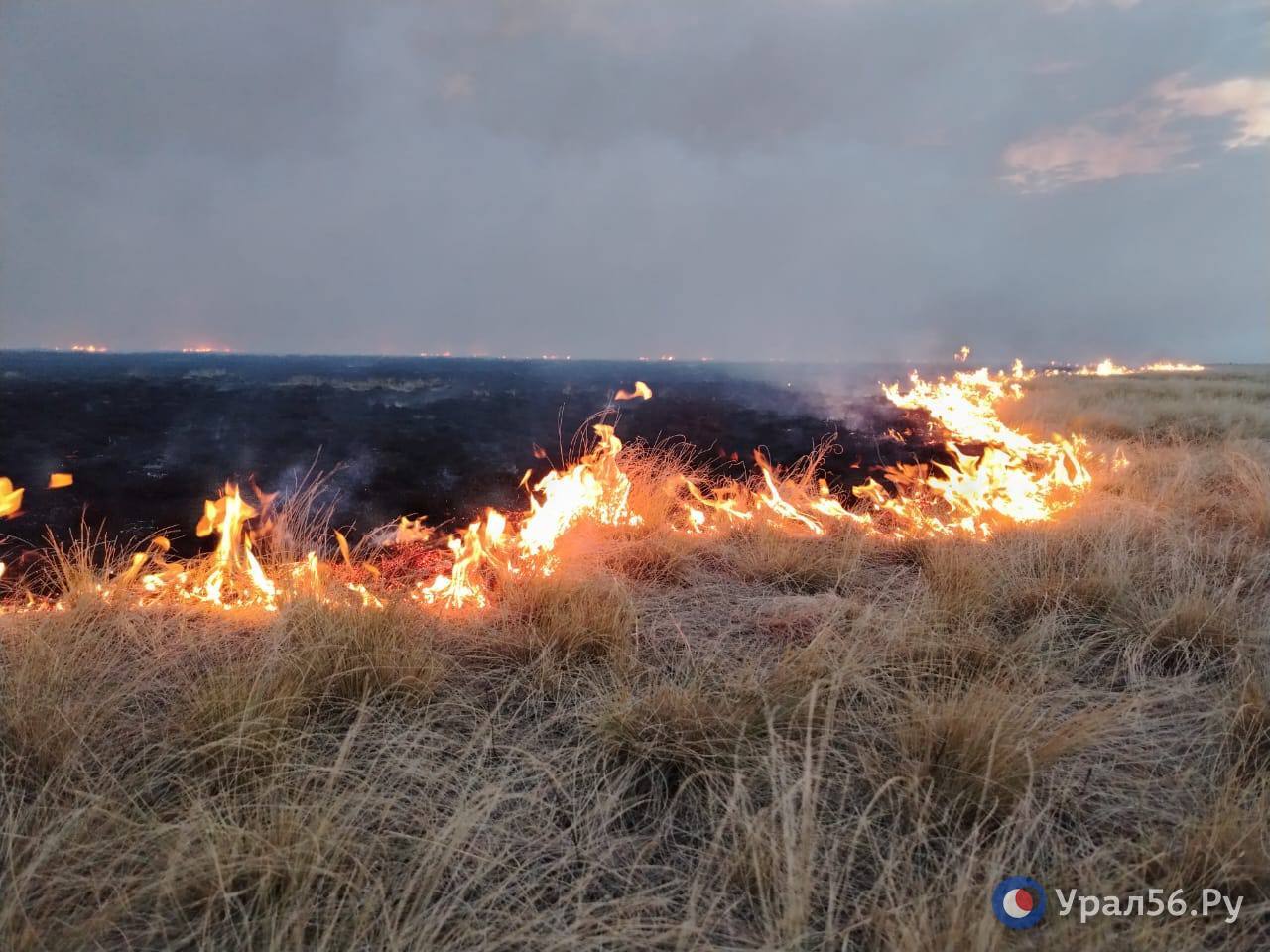 Огонь распространяется по степи мгновенно
