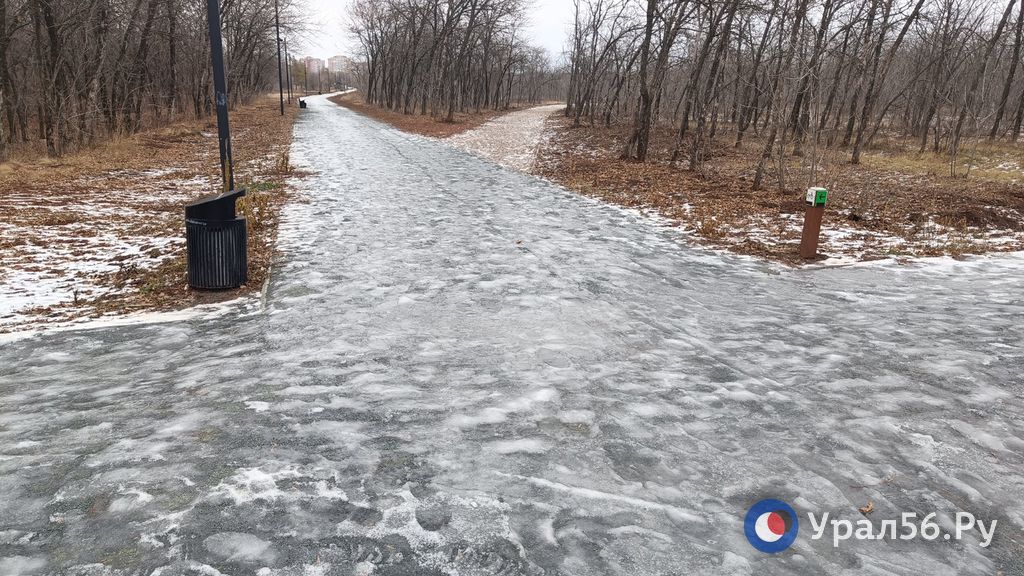 В парке «Березка» в Оренбурге. 05.12.2023