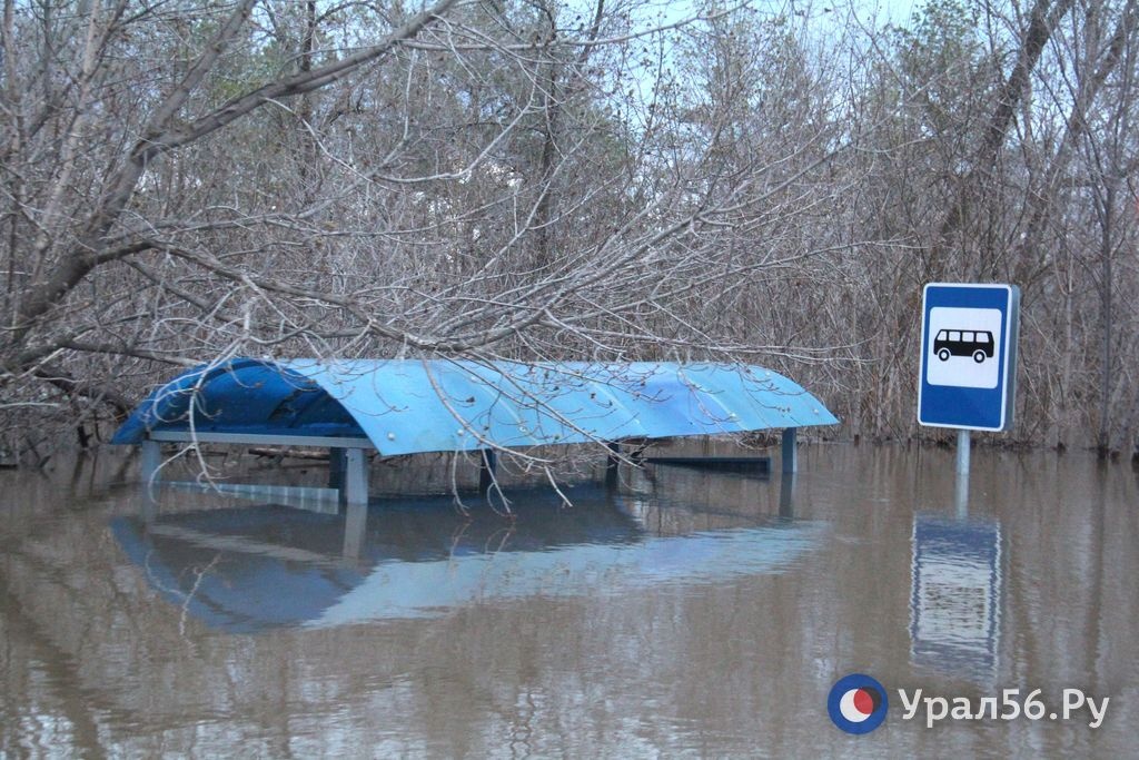 Остановка в одном из СНТ Оренбурга