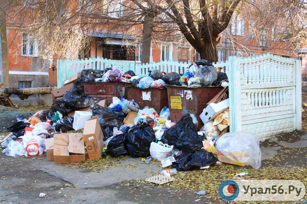 Контейнерная площадка во дворе дома 37 по проспекту Ленина. 300 метров от здания городской администрации