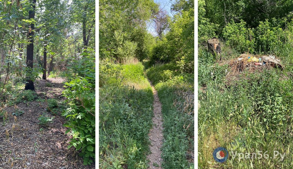 Парк Малишевского в Орске, 15.06.2023