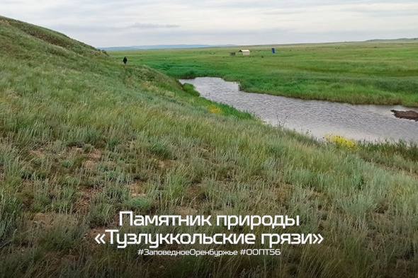 #Маршрут56: Тузлуккольские грязи в Беляевском районе