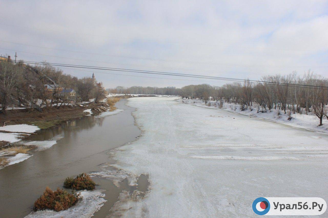 Река Урал в районе Оренбурга, 2016 год