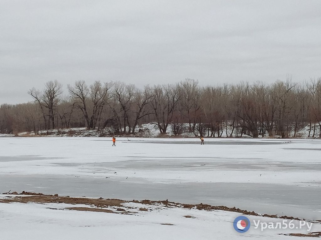 Толщина льда на реках Оренбургской области составляет от 19 до 64 см