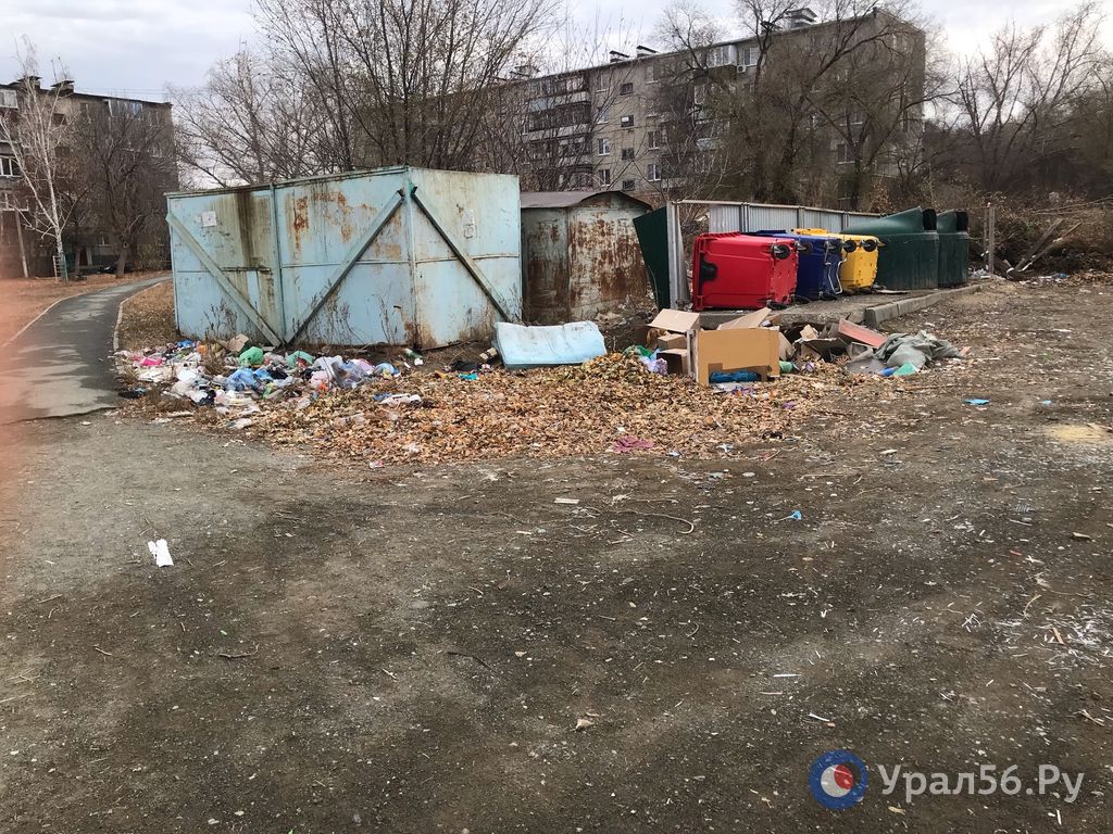 Мусорная площадка. Фото из архива